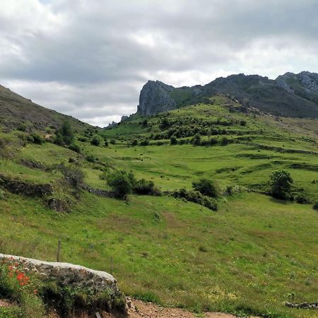 Vivienda Turistica Cueto Larama Vut-Le-860 Villa Villafeliz Екстериор снимка